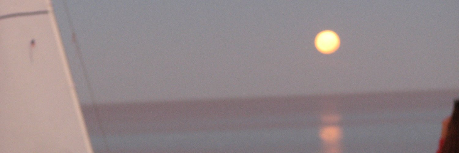 fm_fmelian's profile banner image