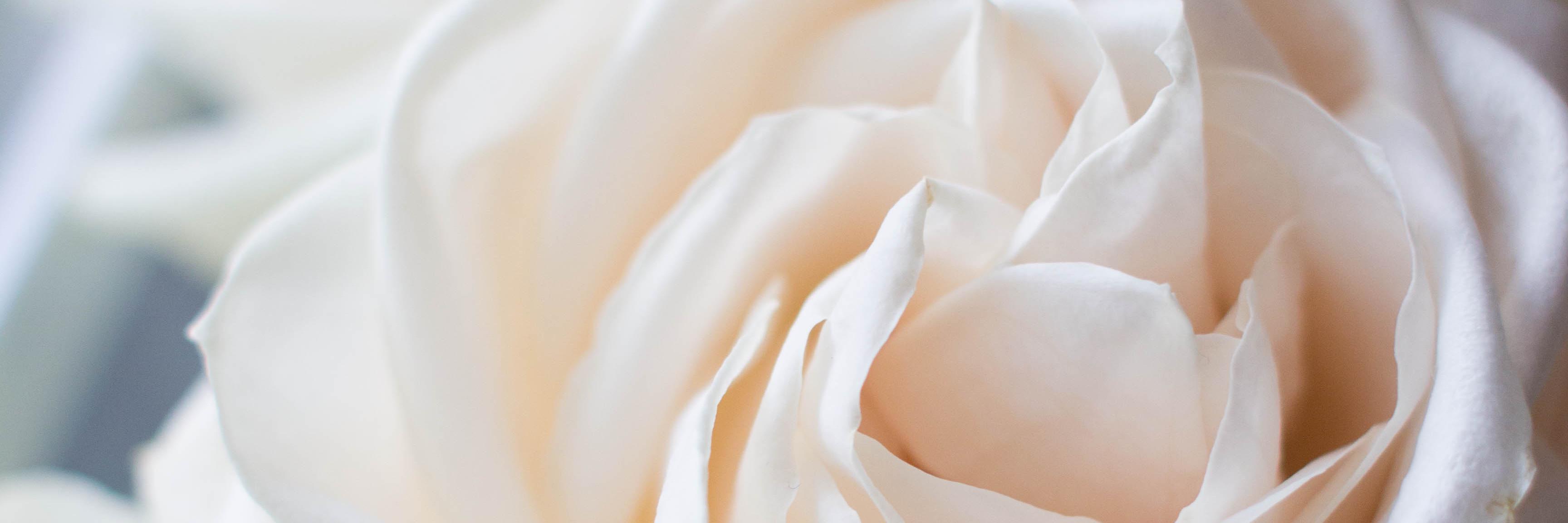 AnnaFilly's profile banner image