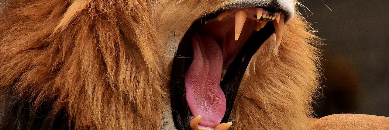 Okelion2's profile banner image
