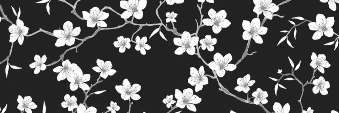 Medusa_95's profile banner image