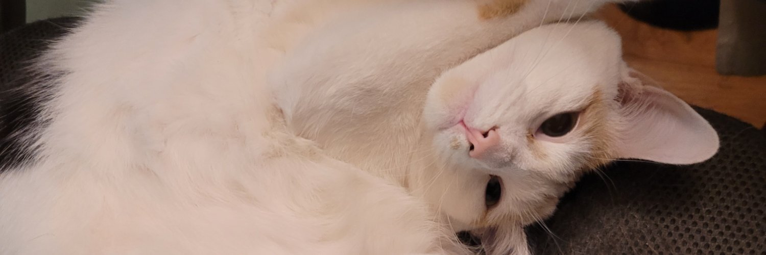 javaCAtoAtl's profile banner image