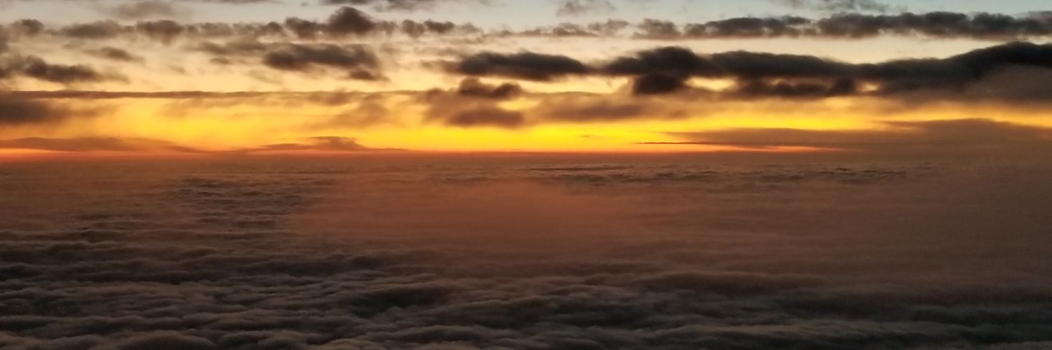 mej0's profile banner image