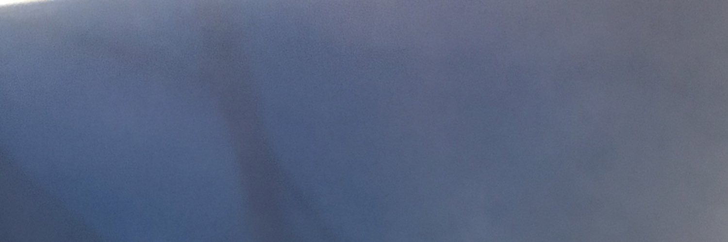 Jennifer Loveless banner