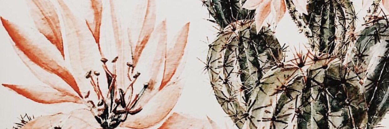 MaddyMayer32's profile banner image