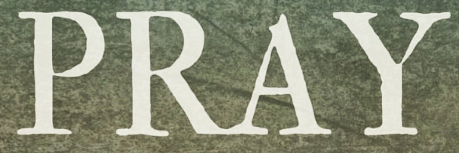SheilaEvansMP's profile banner image