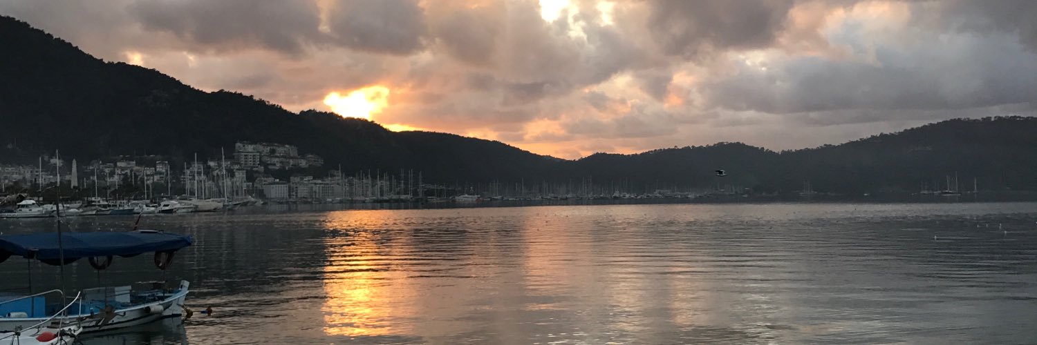 sez_in_'s profile banner image