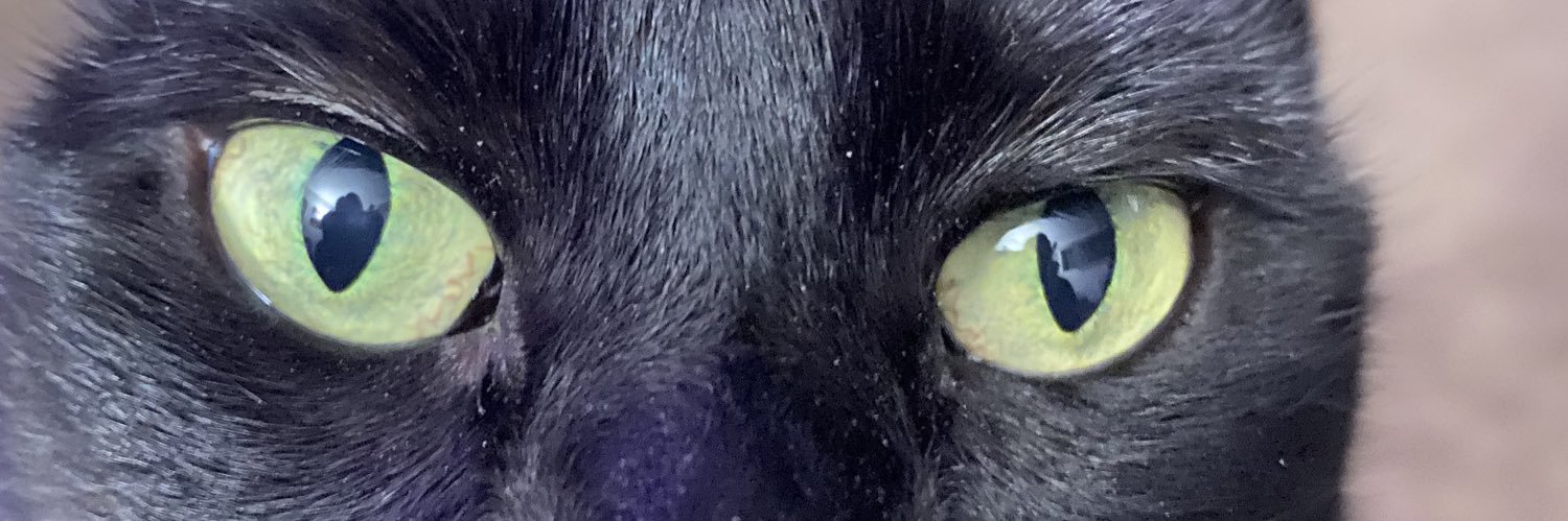 _decadentjayy's profile banner image