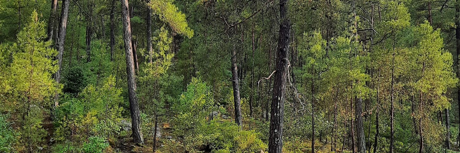 ergndursun's profile banner image
