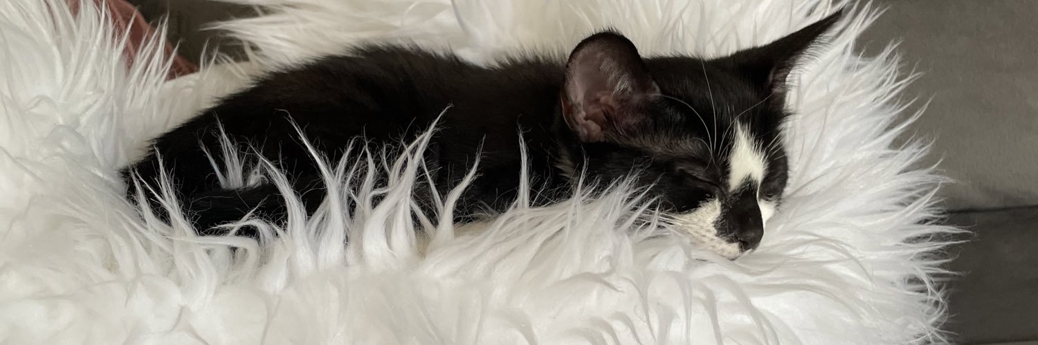 ValentinaClouse's profile banner image
