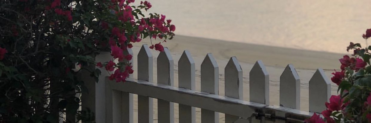 RRalkaabii's profile banner image
