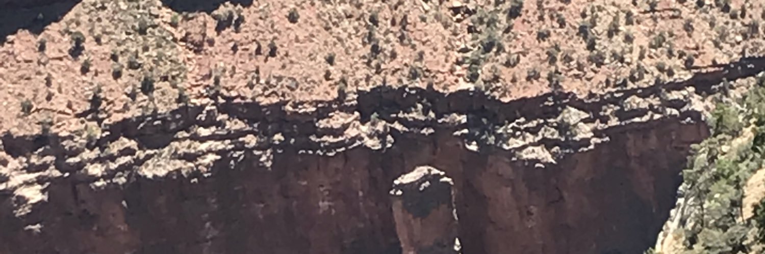 DaddyLaddy's profile banner image