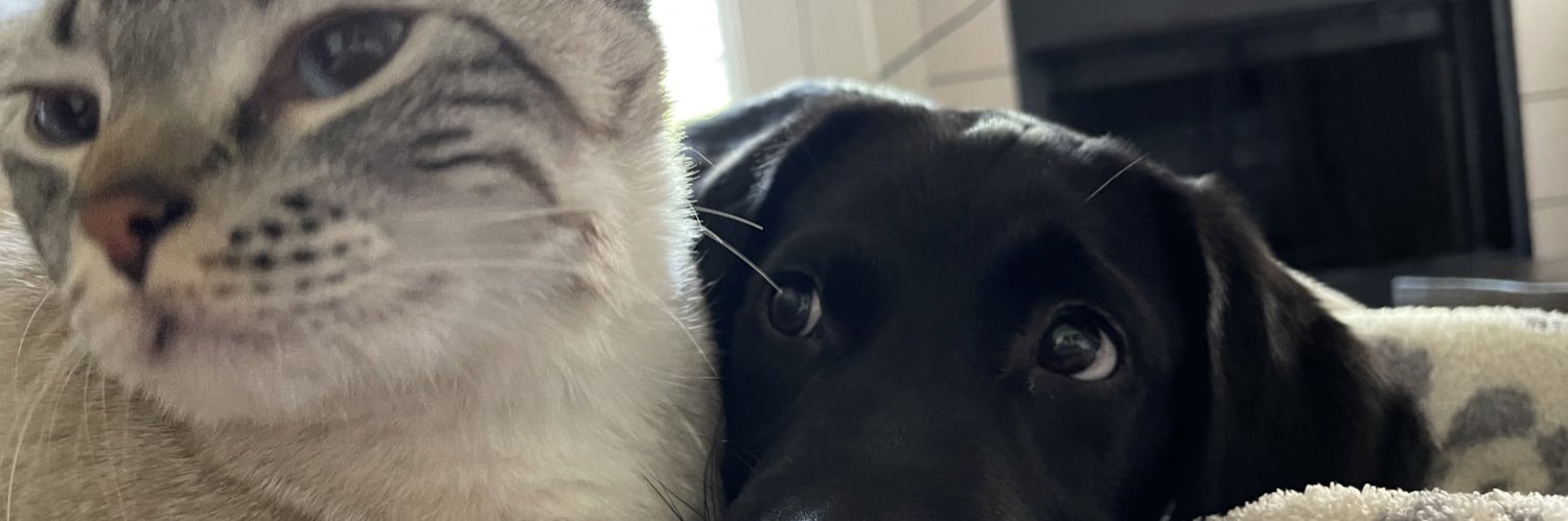 kendyljohnsonn's profile banner image