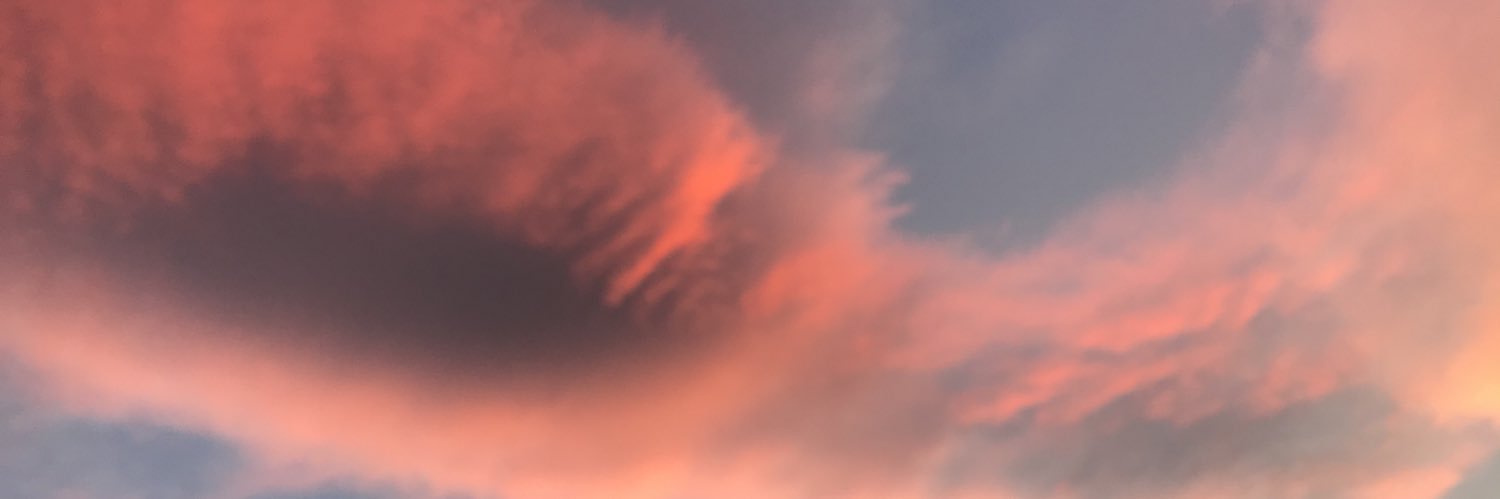 melindaprescher's profile banner image