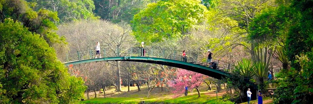 YourLifeIs_Free's profile banner image