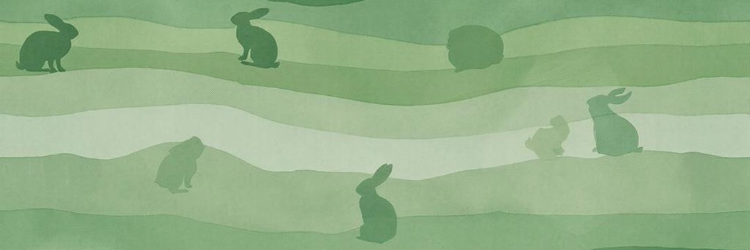 llpnllpn's profile banner image