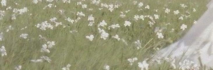 __jodiemae's profile banner image