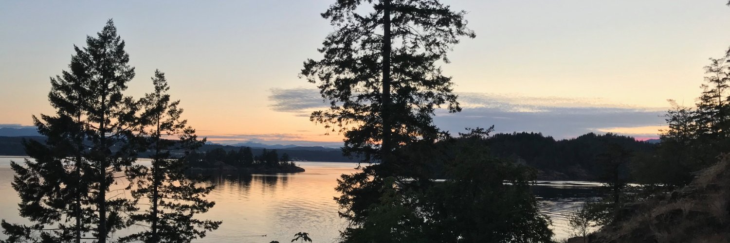 Joanna McGrenere banner