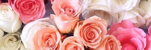 maryanne_fer's profile banner image