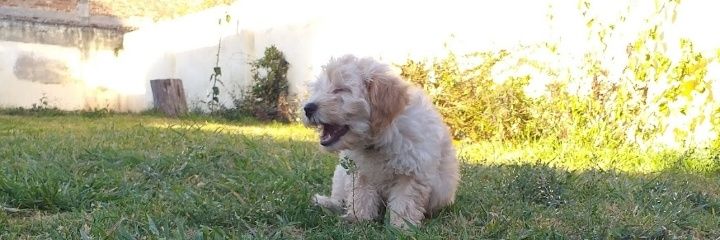 lu_richetta's profile banner image