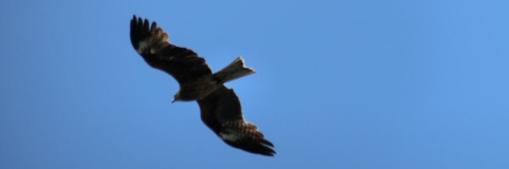 なみか@プロカ必読 banner