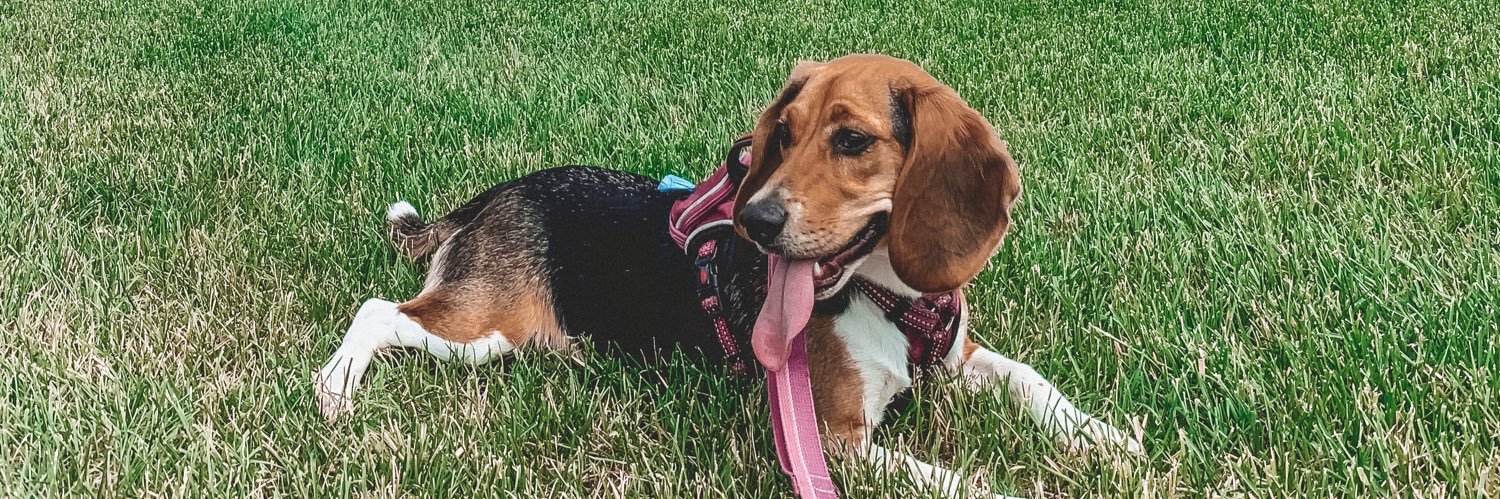 CourtneyJasper's profile banner image