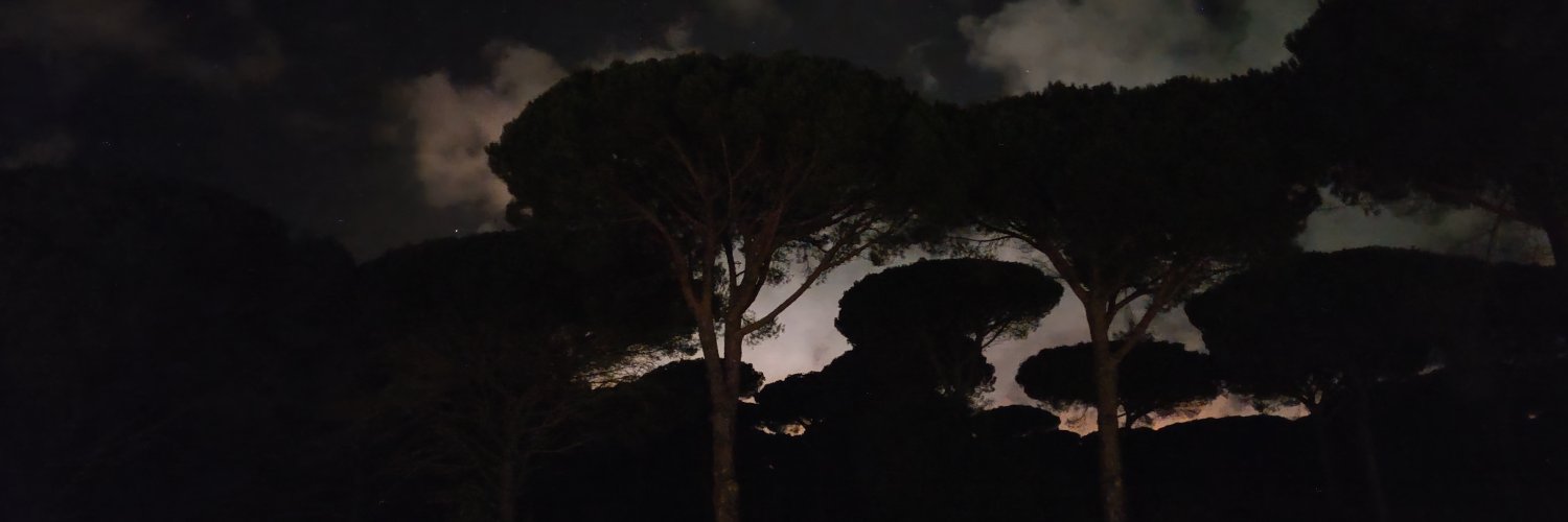 VPNacho's profile banner image