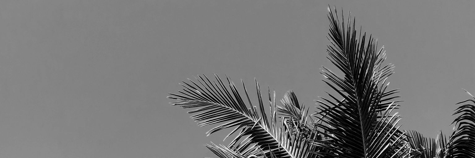 msofiaoh's profile banner image