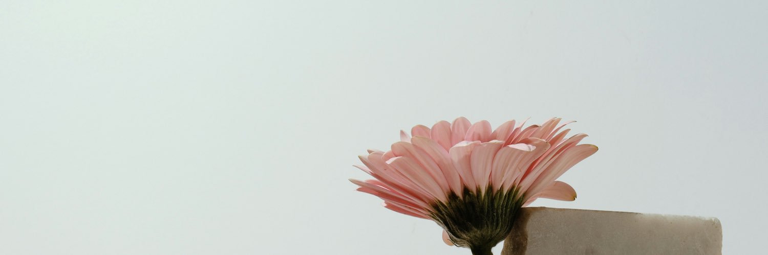 _1seri's profile banner image