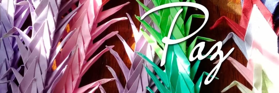 MeriAffranchino's profile banner image