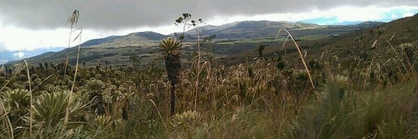 pauhidalgo_ Profile Banner