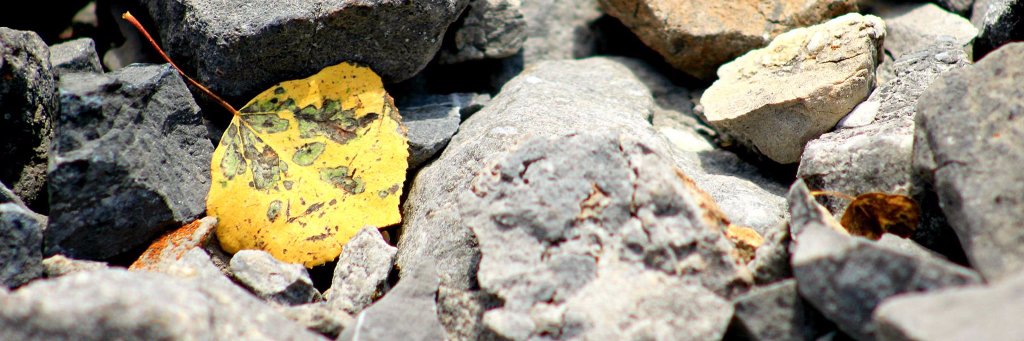 5C_Sami's profile banner image