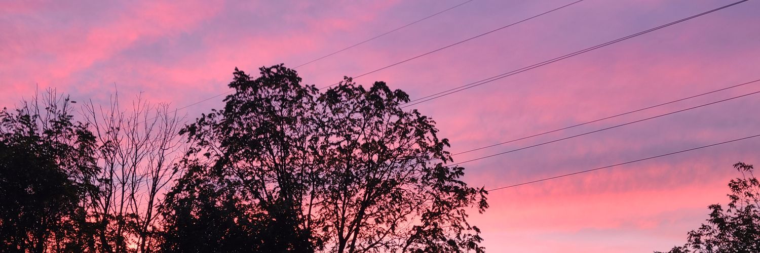 Matt_Man98's profile banner image