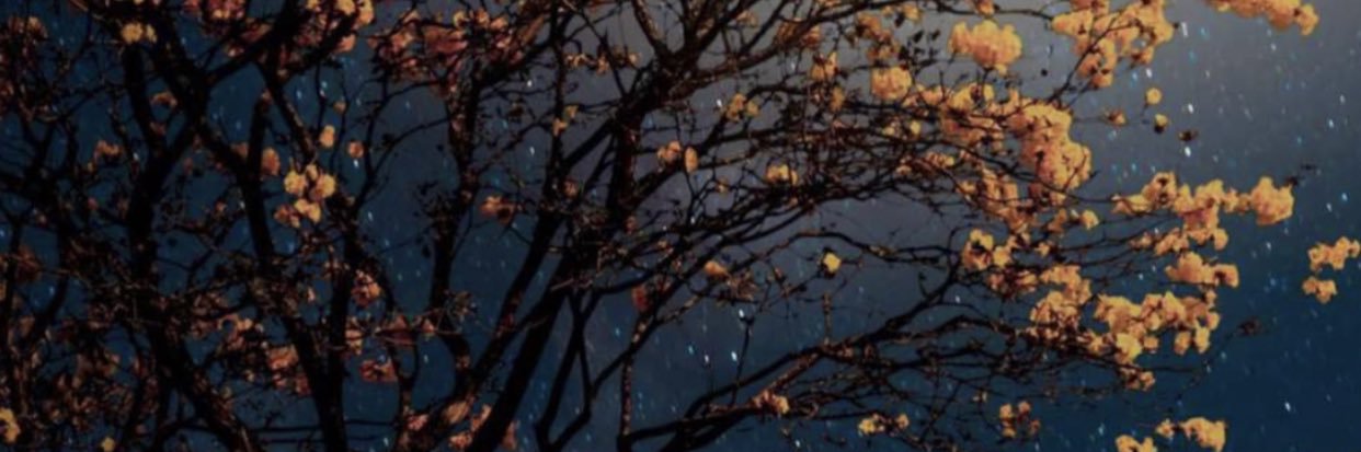 alkhatar11's profile banner image