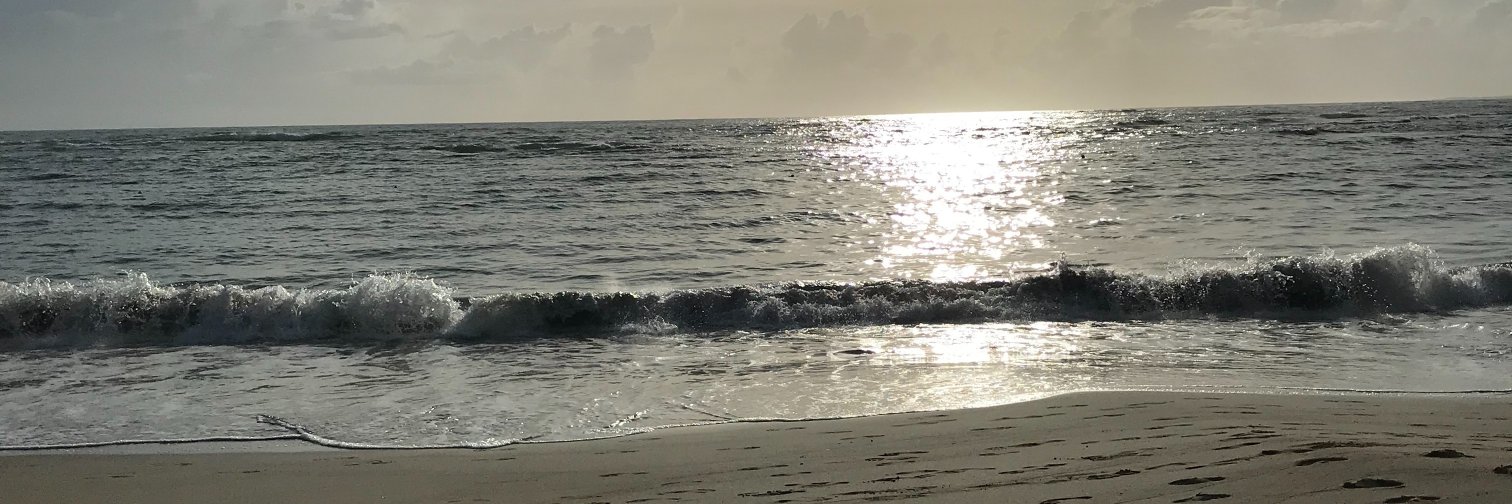 SarahFeola's profile banner image