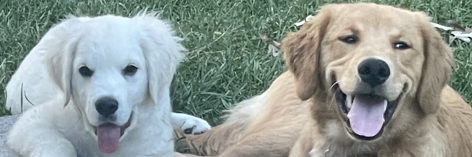 madkat33's profile banner image