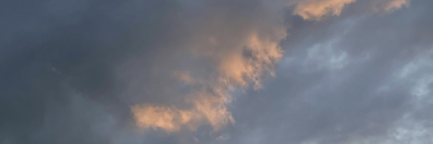 cecilia magrela banner