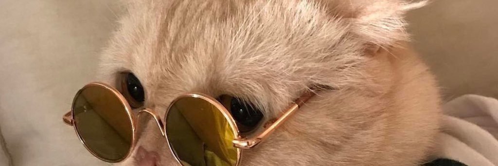 deenybug's profile banner image
