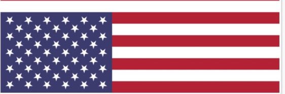 SaveDemocracy banner