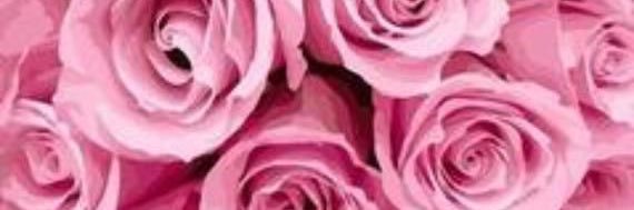 xoxjacs's profile banner image