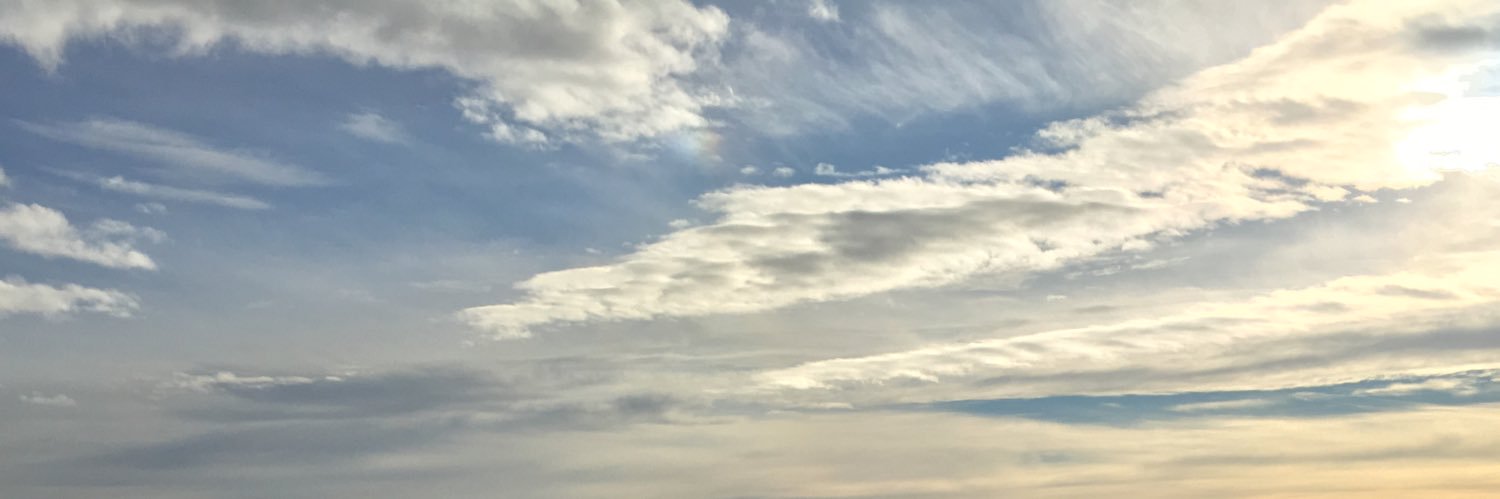 apatheticpotate's profile banner image