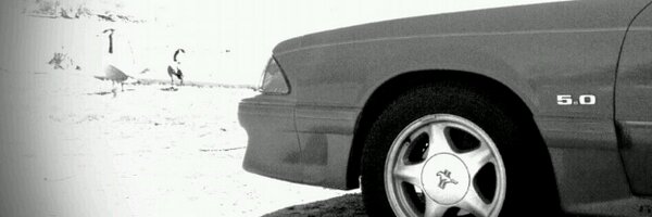 MichaelPat21 Profile Banner