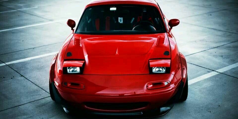 Taylor Andersen banner