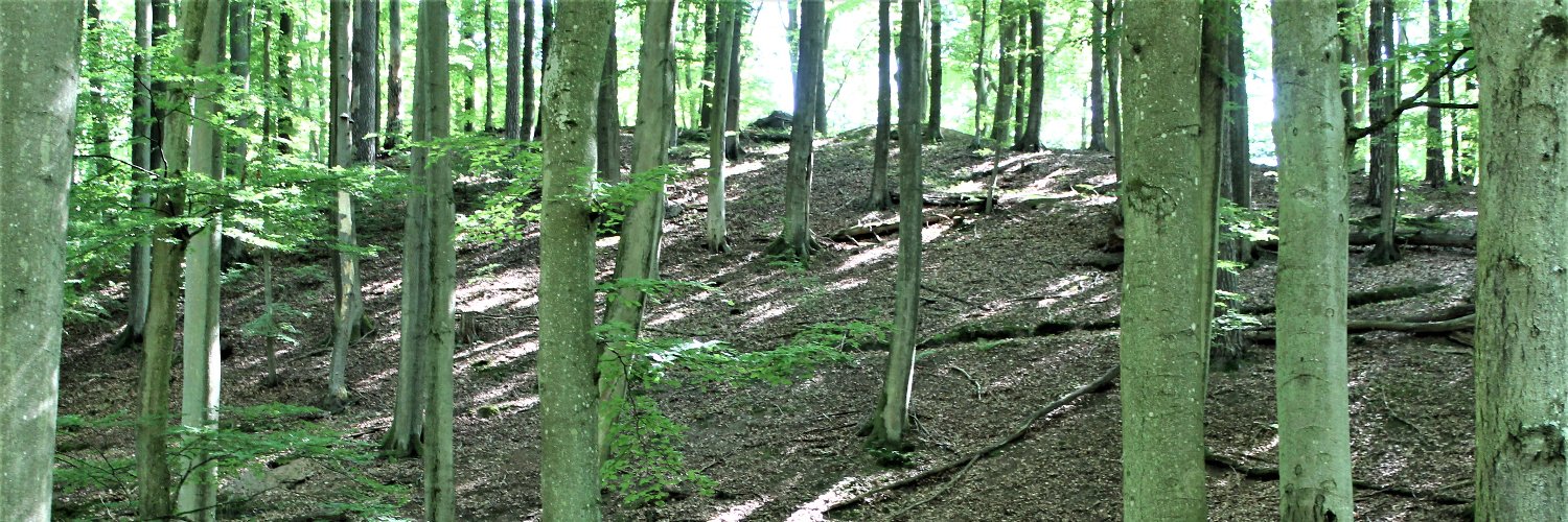 Lech_sid733's profile banner image