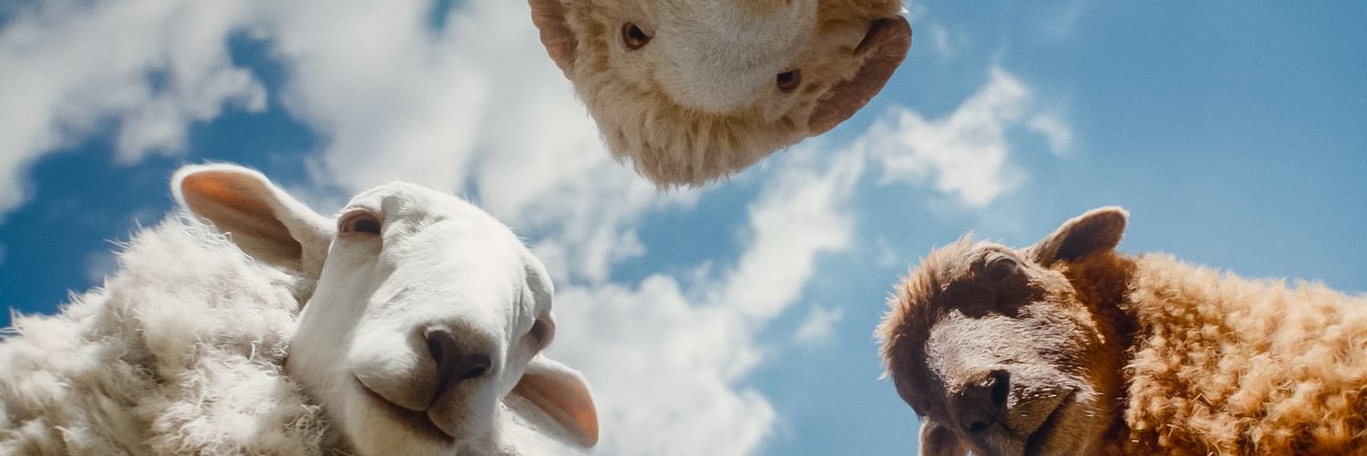 awmeks's profile banner image