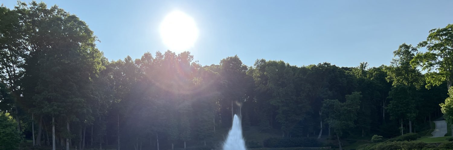 MrRichOffBTC's profile banner image