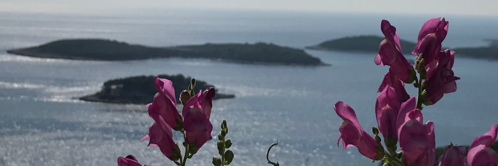 AnnaMAnderson01's profile banner image