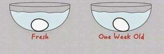 mokhtarjan's profile banner image