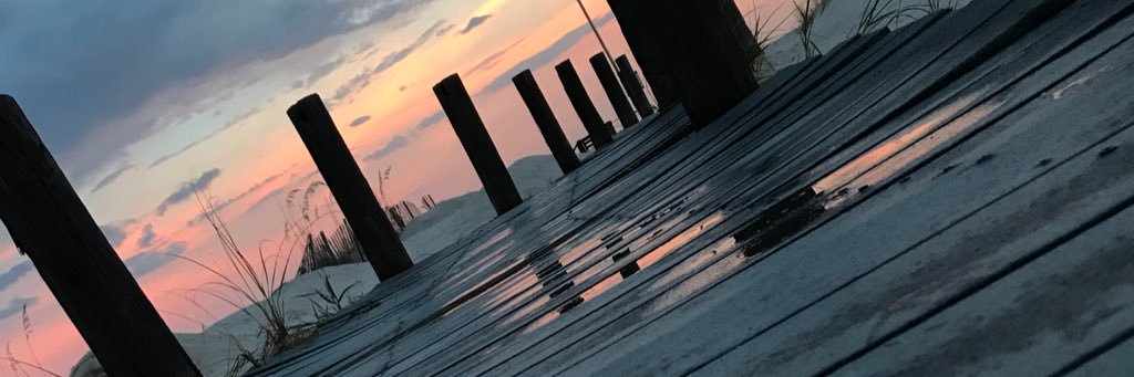 Emileebrown_5's profile banner image