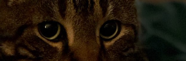 ykfyi's profile banner image
