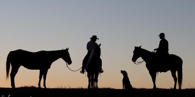 trnnbrn97's profile banner image
